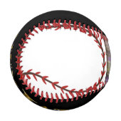 ミシガン野球 野球ボール (正面左)