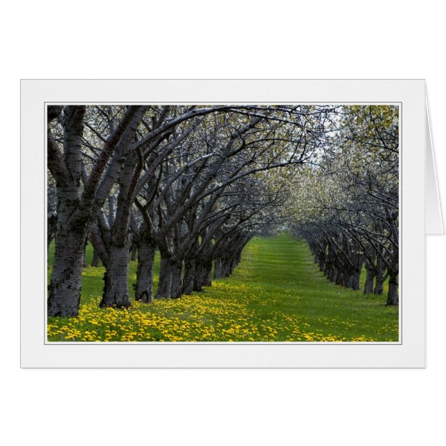 ミシガン02カードの4シーズン (正面横)