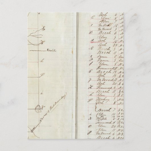 ミシガン・インディアナ州調査2 ポストカード (正面)