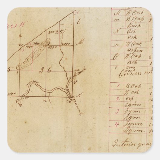 ミシガン・インディアナ州調査 スクエアシール (正面)