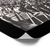 ミシガン・オハイオ・フットボール写真1927 ポスター (角)