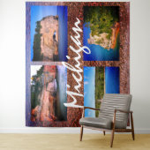 ミシガン タペストリー (インサイチュ)