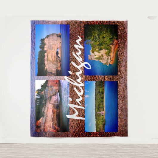 ミシガン タペストリー (正面)