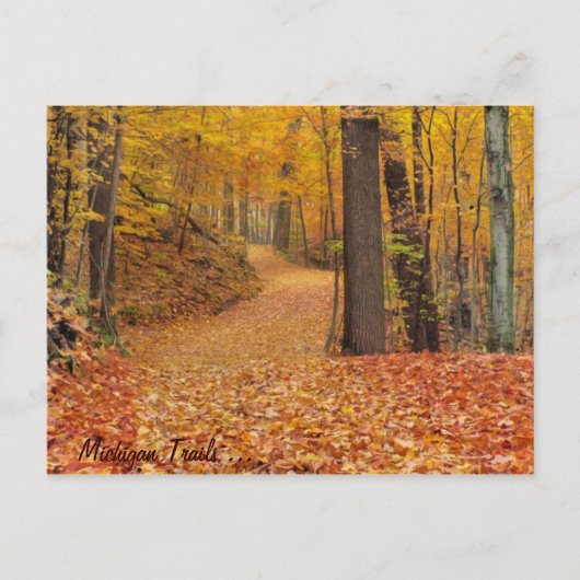 ミシガン トレイル ポストカード (正面)
