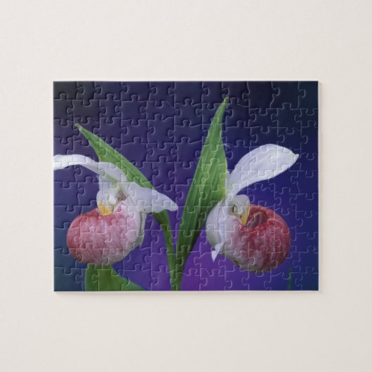 ミシガン、ブルース半島国立公園。派手な ジグソーパズル (横)