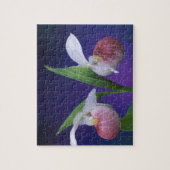 ミシガン、ブルース半島国立公園。派手な ジグソーパズル (縦)