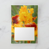 ミシガン・プライド [ジャーマンアイリス] カード (内部)