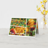 ミシガン・プライド [ジャーマンアイリス] カード (黄色い花)