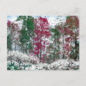 ミシガン ポストカード (正面)