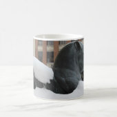 ミシガン・マグ州アナーバーの自然史博物館 コーヒーマグカップ (中央)