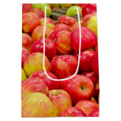 ミシガン・リンゴ ミディアムペーパーバッグ (裏面)