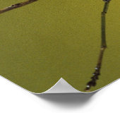 ミシガン、ロチェスター・ヒルズ。の祈マンチスオン ポスター (角)