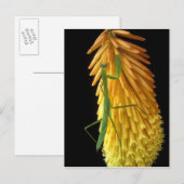 ミシガン、ロチェスター・ヒルズ。祈マンチスオンレッド ポストカード (正面/裏面)