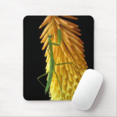 ミシガン、ロチェスター・ヒルズ。祈マンチスオンレッド マウスパッド (マウス)