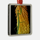 ミシガン、ロチェスター・ヒルズ。祈マンチスオンレッド メタルオーナメント (右)