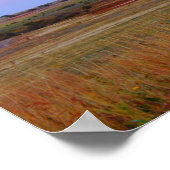 ミシシッピライム – こ来これ！二 ポスター (角)