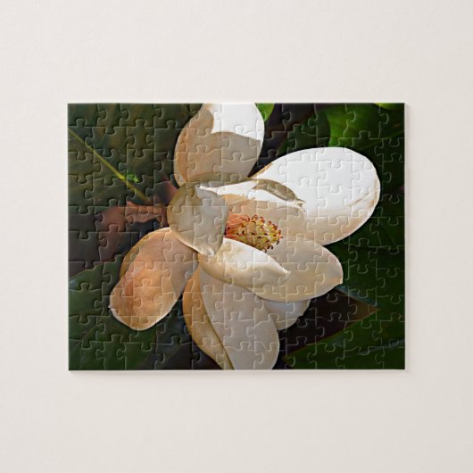 ミシシッピーのマグノリア ジグソーパズル (横)