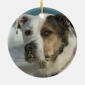 ミシシッピーの足の猟犬のロットワイラーカスタムな犬の写真 セラミックオーナメント (裏面)