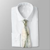 ミシシッピー川のデルタ(1874年)のヴィンテージの地図 ネクタイ (タイ)