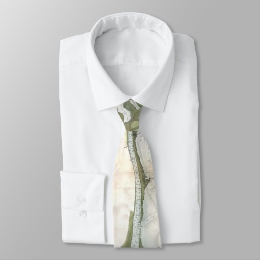 ミシシッピー川のデルタ(1874年)のヴィンテージの地図 ネクタイ (タイ)