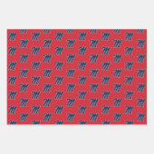 ミシシッピ大学 |スクリプトM ラッピングペーパーシート (正面2)