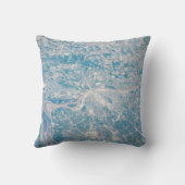 ミシシッピ川に沿ってミズーリ州セントルイス。 クッション (裏面)