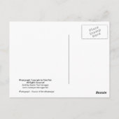 ミシシッピ川のソースSourvenirはがき ポストカード (裏面)