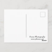 ミシシッピ川の上とアルマのダム ポストカード (裏面)