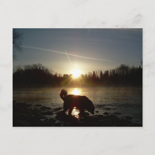 ミシシッピ川の霧 ポストカード (正面)