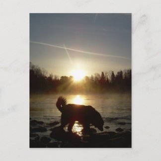 ミシシッピ川の霧 ポストカード