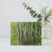 ミシシッピ川はがきにアイオワ ポストカード (スタンド正面)