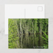 ミシシッピ川はがきにアイオワ ポストカード (正面/裏面)