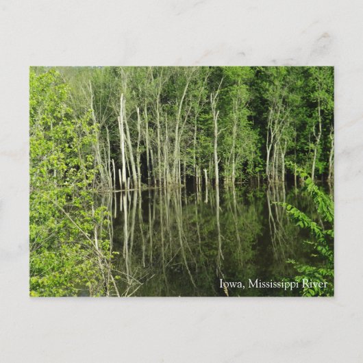 ミシシッピ川はがきにアイオワ ポストカード (正面)
