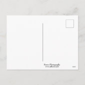 ミシシッピ川を見下凍っていろす崖 シーズンポストカード (裏面)