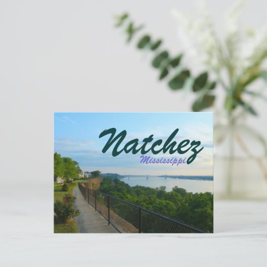 ミシシッピ川ナチェズ崖 2011年大洪水 ポストカード (スタンド正面)