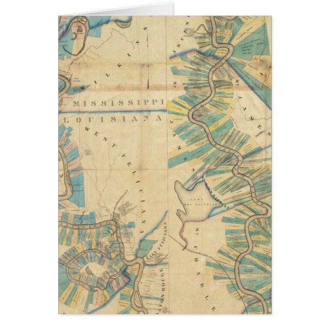 ミシシッピ川下流域図 (正面)