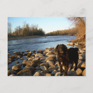 ミシシッピ川 – おはようございます ポストカード