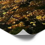 ミシシッピ川、秋。 ポスター (角)