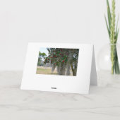 ミシシッピ州からのメリークリスマス シーズンカード (裏面)