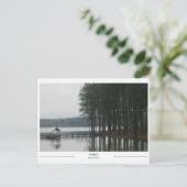 ミシシッピ州トゥペロの湖 ポストカード (スタンド正面)