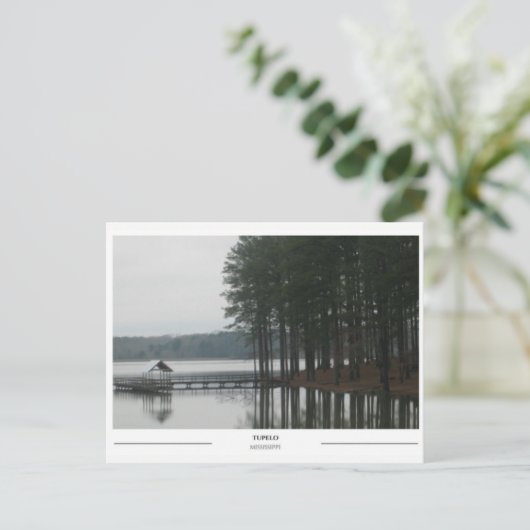 ミシシッピ州トゥペロの湖 ポストカード (スタンド正面)