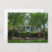 ミシシッピ州ナッチェス歴史地区のマートルテラス ポストカード (正面/裏面)