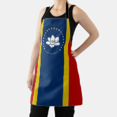 ミシシッピ州旗 エプロン (インサイチュ)