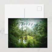 ミシシッピ湿地 – はがき (正面/裏面)