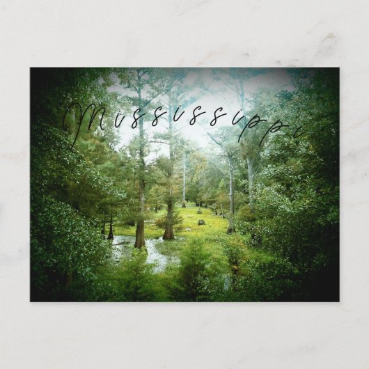 ミシシッピ湿地 – はがき (正面)