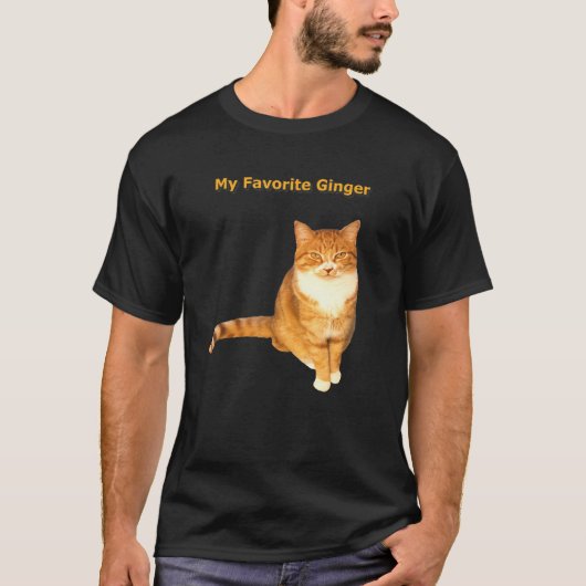 ミジンガお気に入りのーオレンジタブビー猫 Tシャツ (正面)