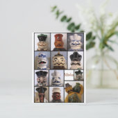 ミスカピッチャーのポストカード ポストカード (スタンド正面)