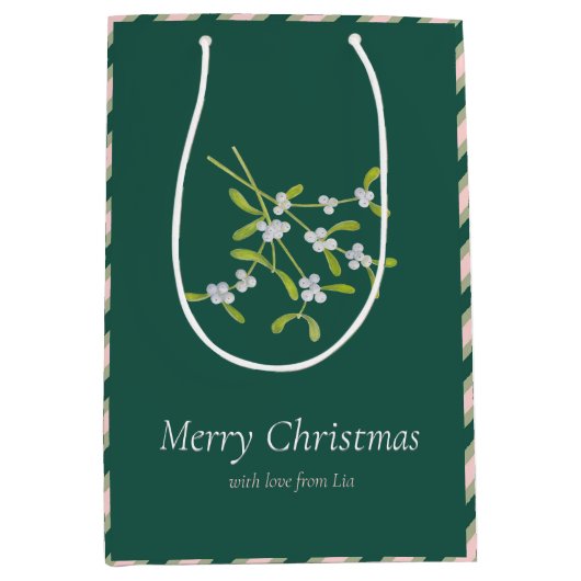 ミスタントーとストライプバラダークグリーン抱き枕 ミディアムペーパーバッグ (正面)