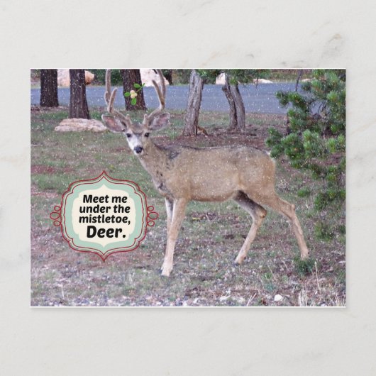 ミスタントーの下で会う ポストカード (正面)