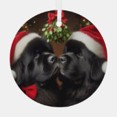 ミスタントーキス下の新作 ガラスオーナメント (裏面)